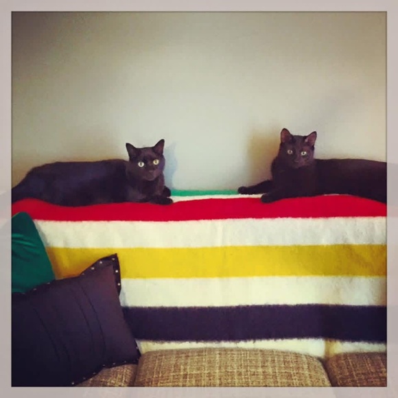 Hudson’s Bay Company Point Blanket (1940s-1960s) - Picture 2 of 3